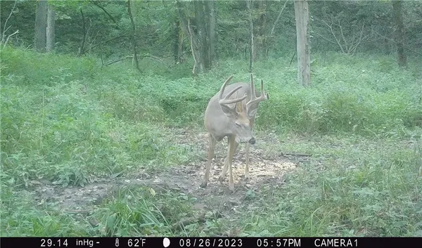 $429,300 | 27760 Y Highway, Oregon, MO 64473