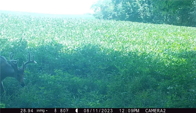 $429,300 | 27760 Y Highway, Oregon, MO 64473