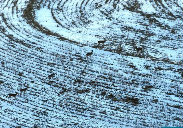 $429,300 | 27760 Y Highway, Oregon, MO 64473