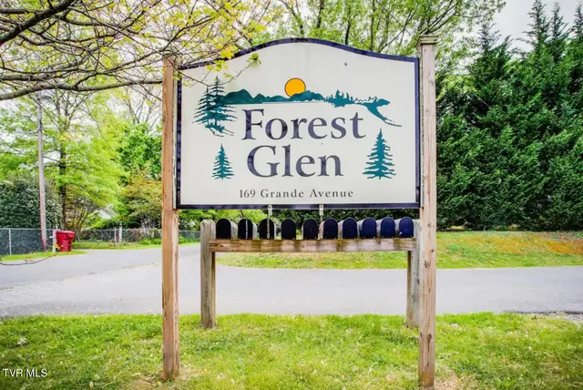 $2,400 | 169 East Grande Avenue, Unit 301, Johnson City, TN 37601