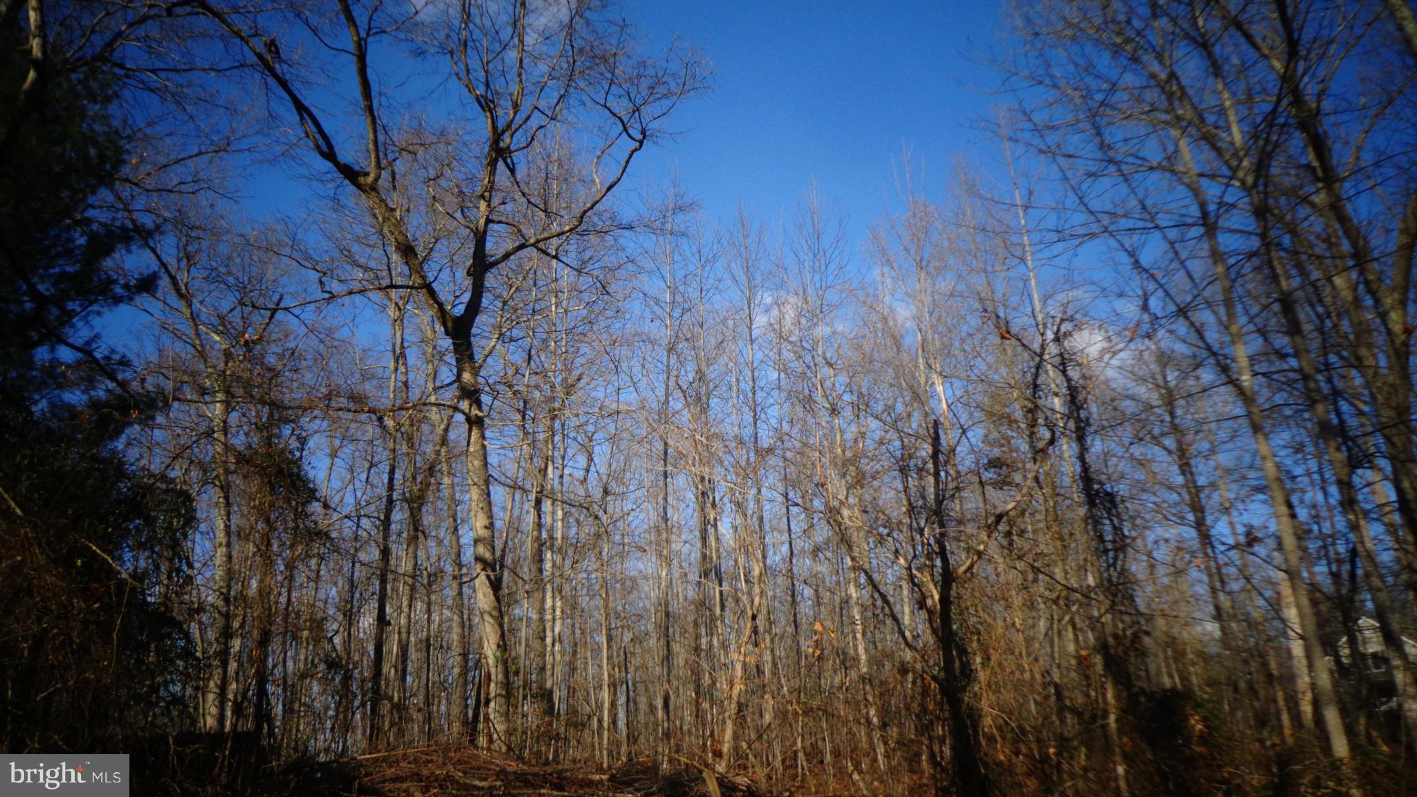 0 Jamesons Mill Road Culpeper, VA 22701 - Photo 1 of 6 View