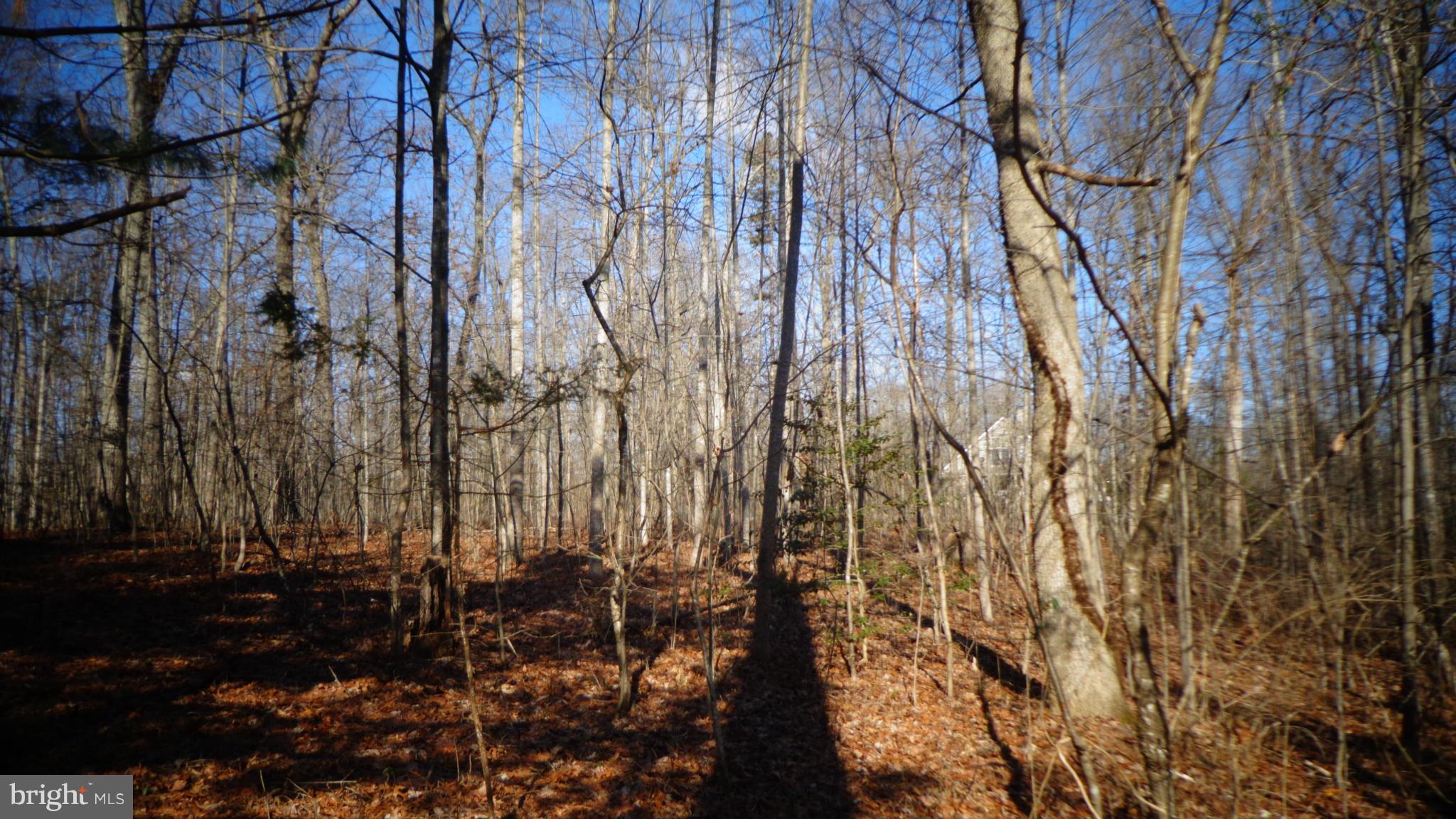 0 Jamesons Mill Road Culpeper, VA 22701 - Photo 3 of 6 View