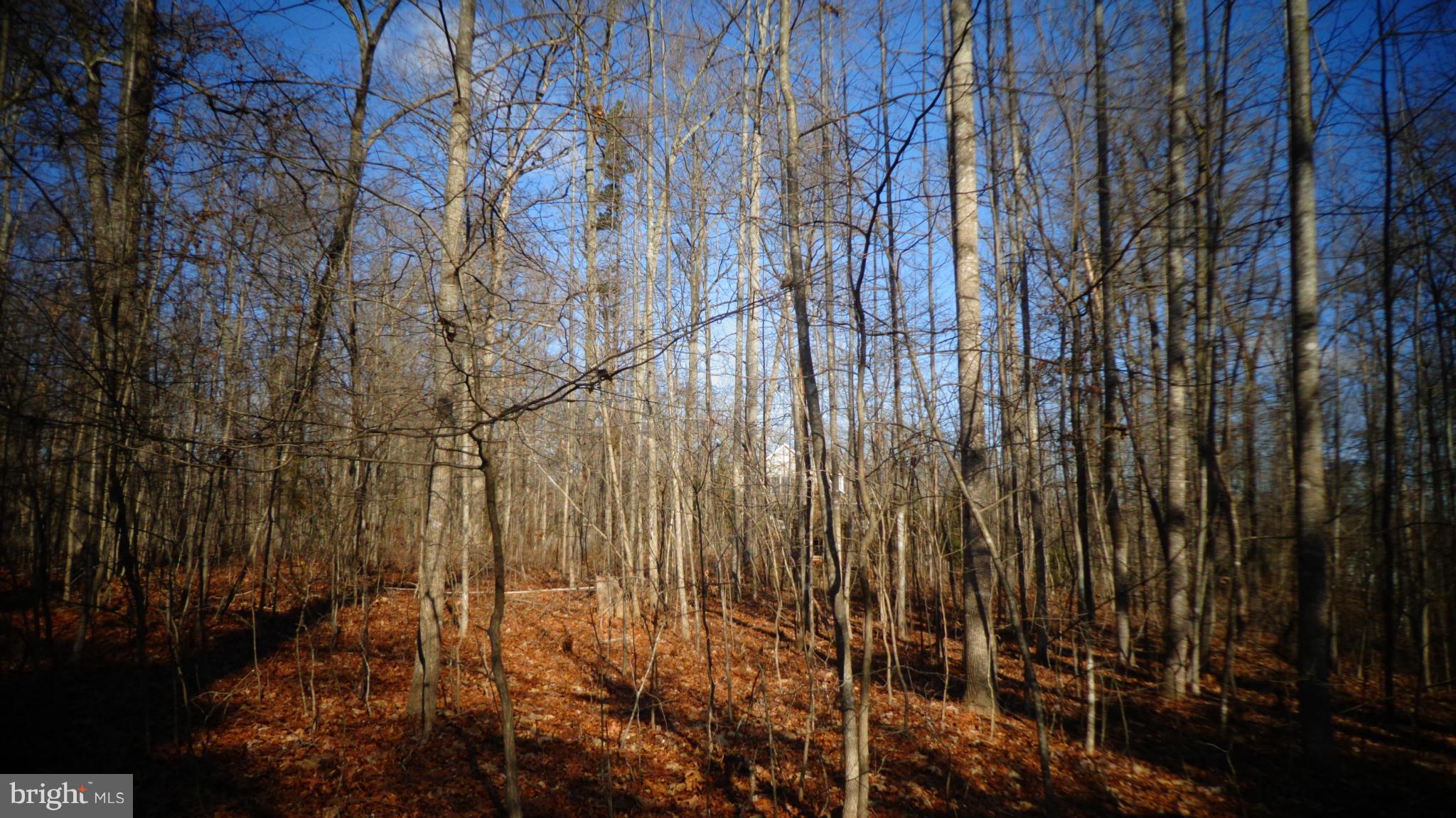 0 Jamesons Mill Road Culpeper, VA 22701 - Photo 4 of 6 View