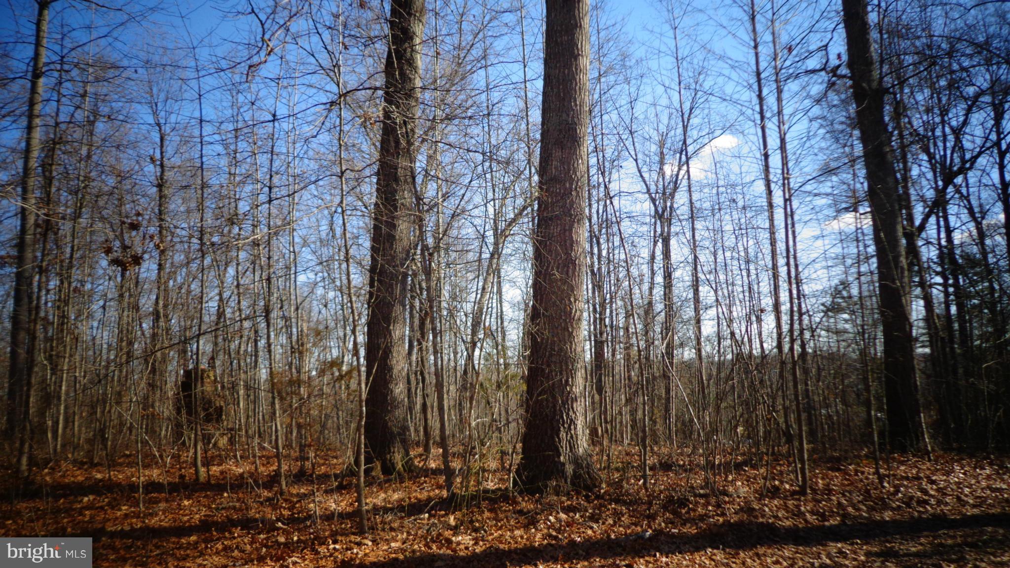 0 Jamesons Mill Road Culpeper, VA 22701 - Photo 5 of 6 View