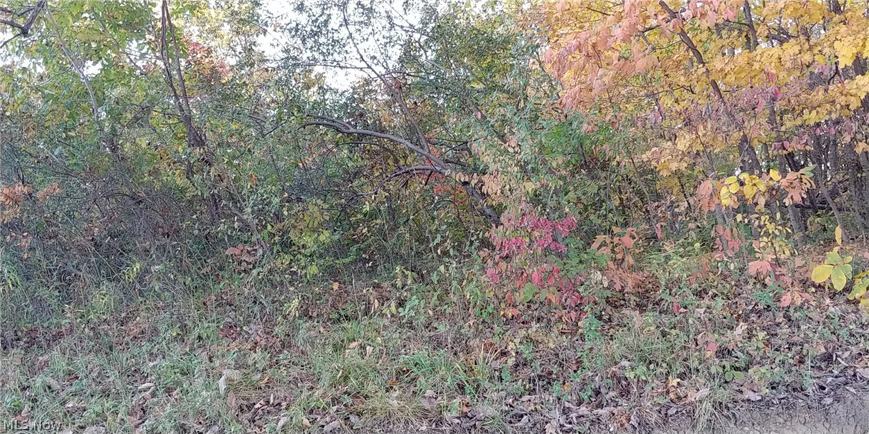 2450 Keffer Road Stockport, OH 43787 - Photo 22 of 35