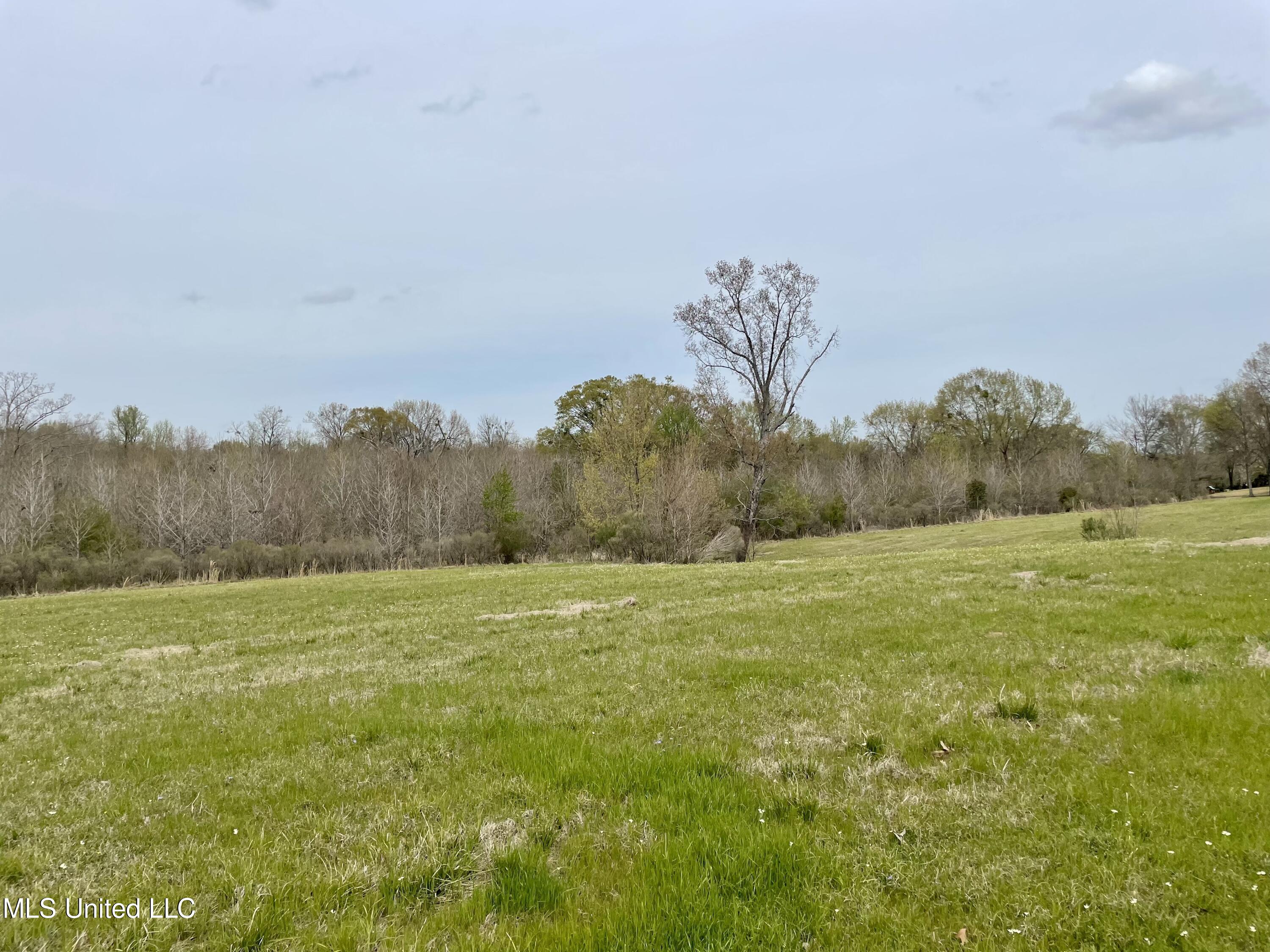 567 Countryside Place Madison, MS 39110 - Photo 11 of 41 8aMqsiSVRMya0qkFz7RUXw