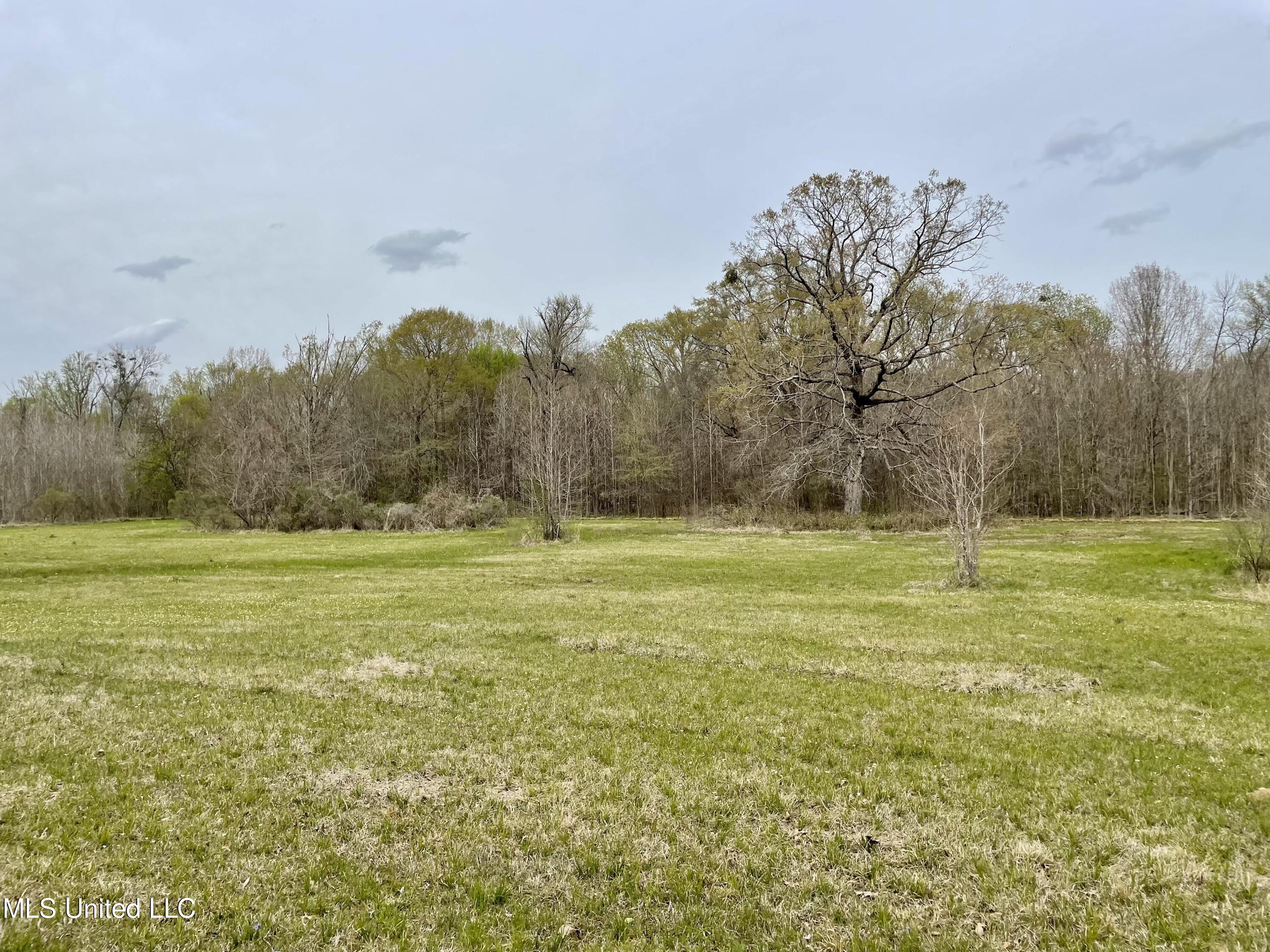 567 Countryside Place Madison, MS 39110 - Photo 18 of 41 nbNvSI+zQumW8H0ONxJNzQ