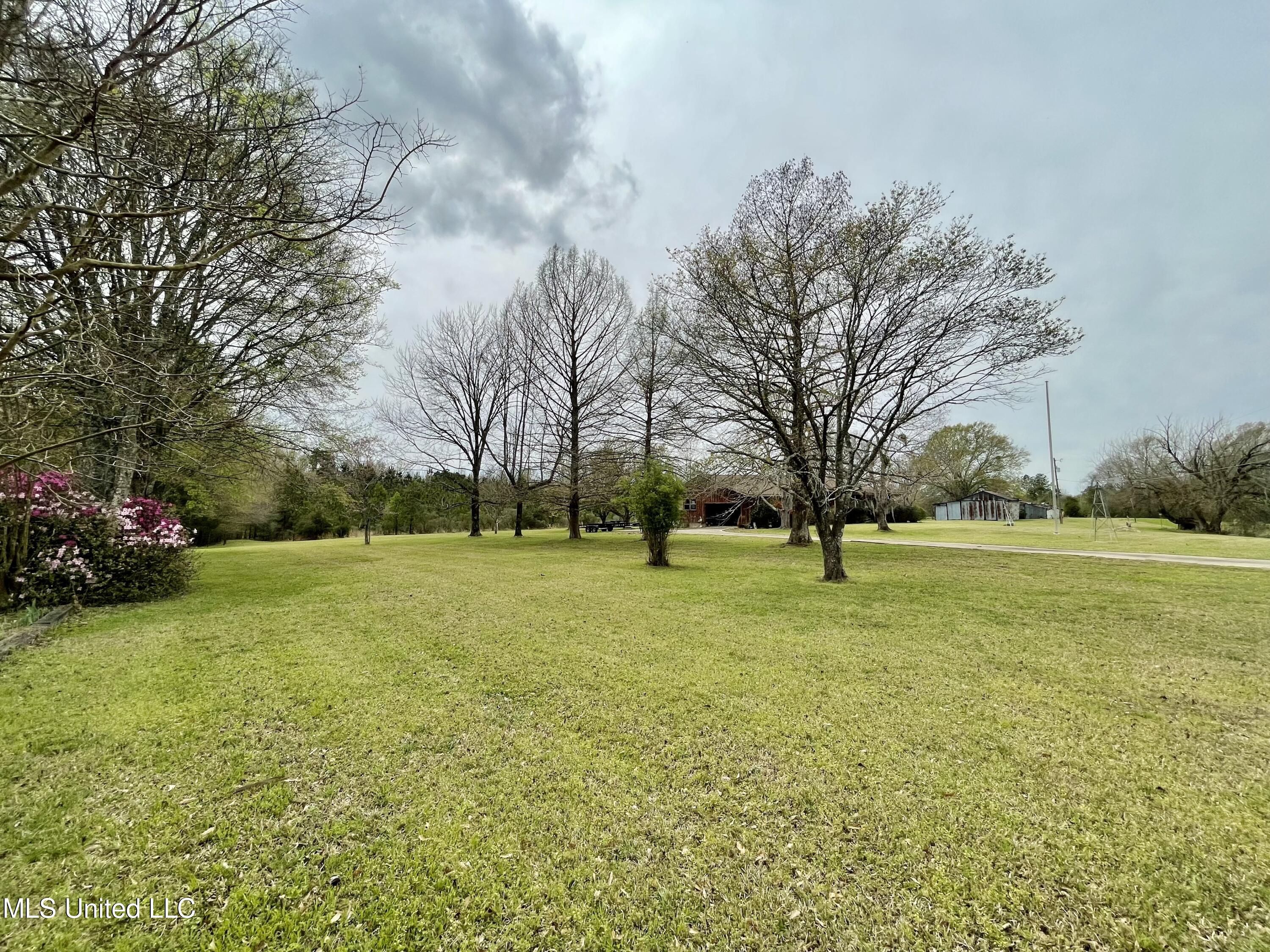 567 Countryside Place Madison, MS 39110 - Photo 19 of 41 %DQm3lnXQle1fV47ap4NmQ