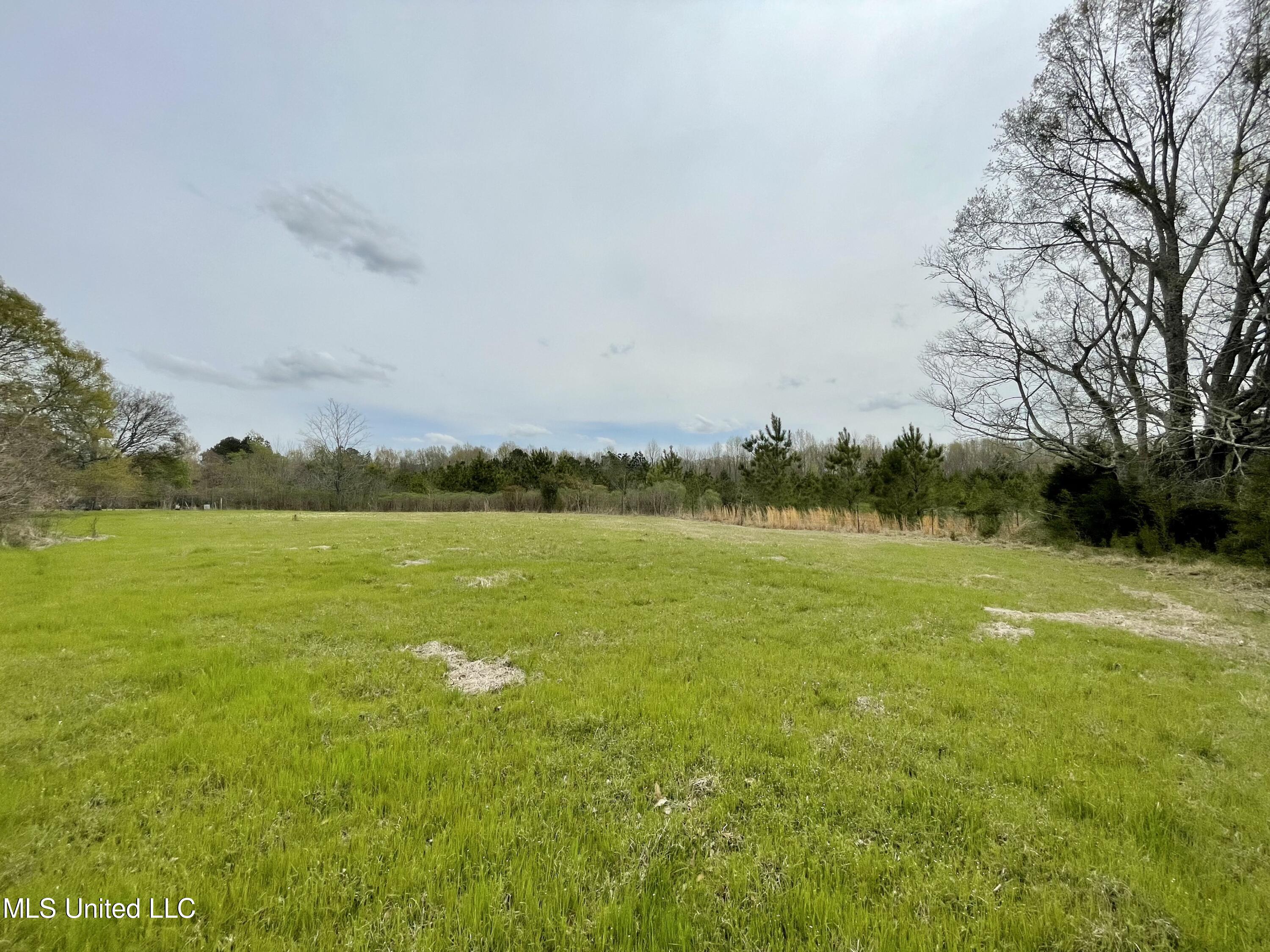 567 Countryside Place Madison, MS 39110 - Photo 22 of 41 knZdq17wSKmYgYMdZTio7w