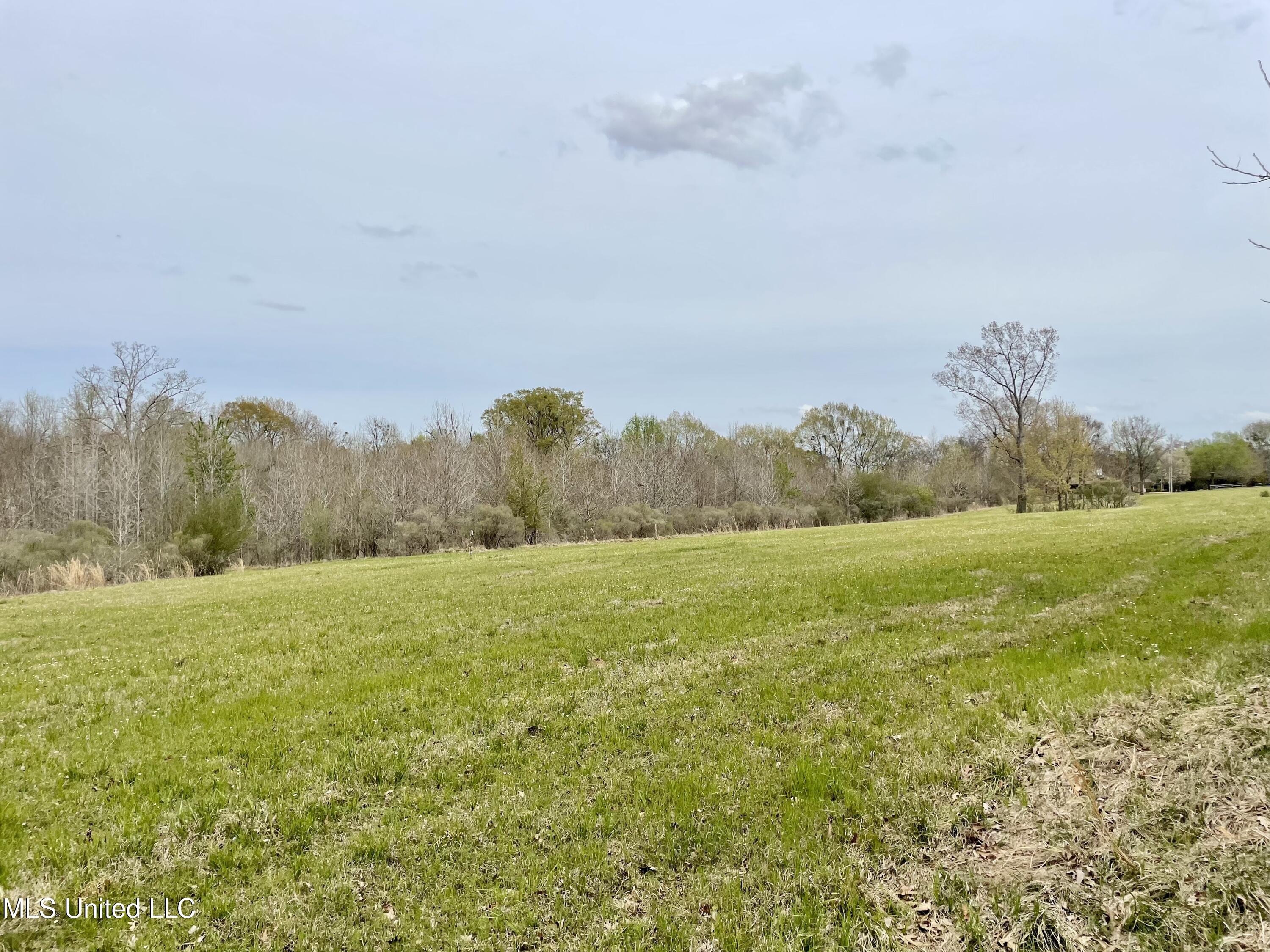 567 Countryside Place Madison, MS 39110 - Photo 26 of 41 kIvkCKblQMq16CAWEtDvMA