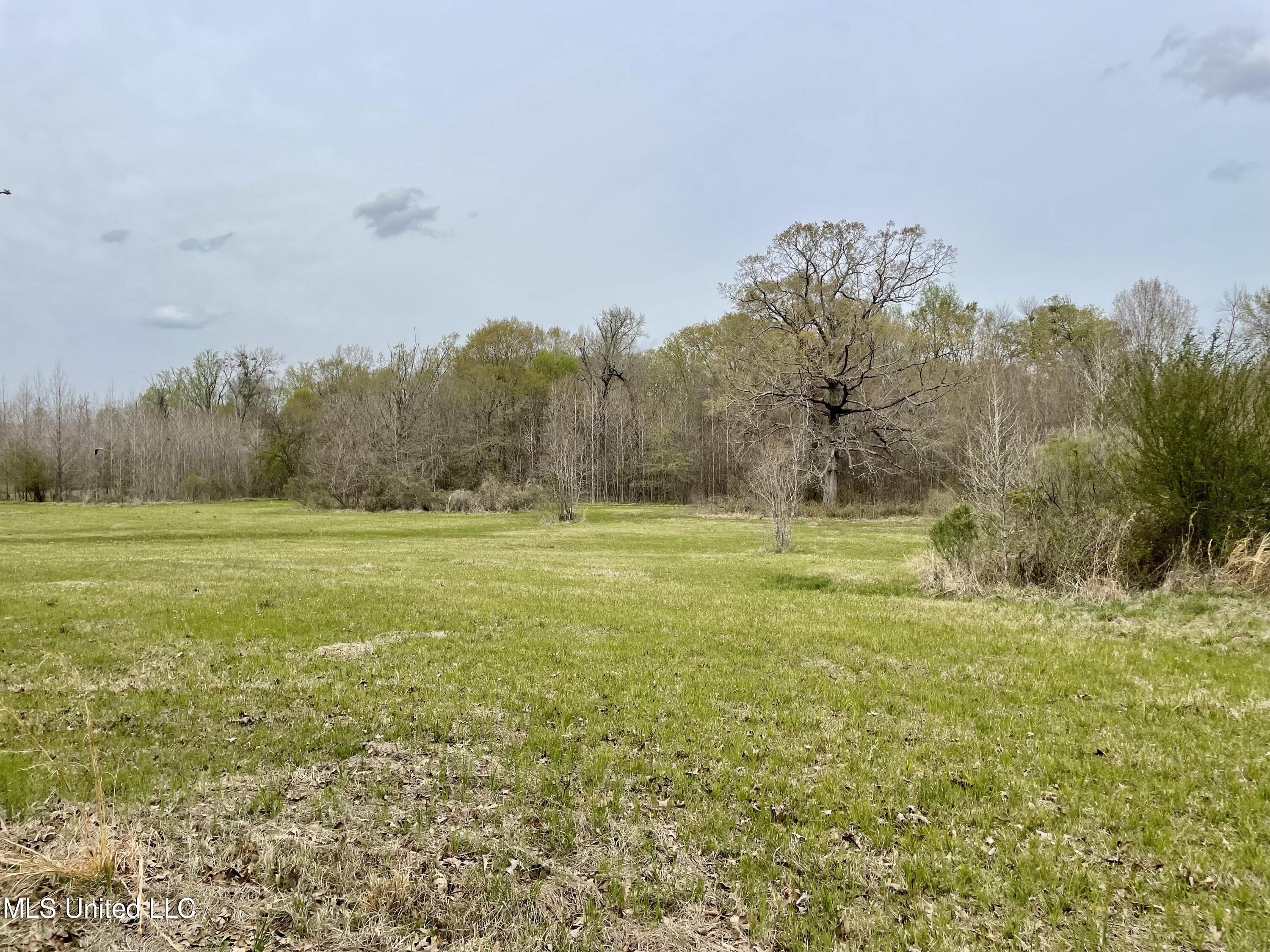 567 Countryside Place Madison, MS 39110 - Photo 27 of 41 3i3yTxu2Sdu+1s7Lobc8DQ