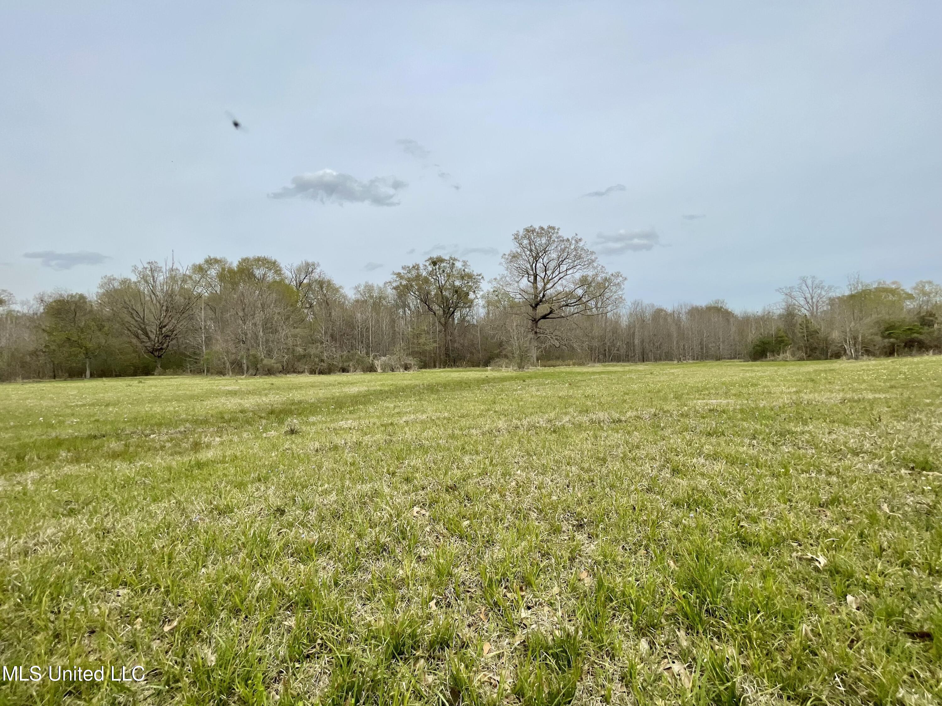 567 Countryside Place Madison, MS 39110 - Photo 35 of 41 GdJSQKrTQRurEaUAsfCFhg