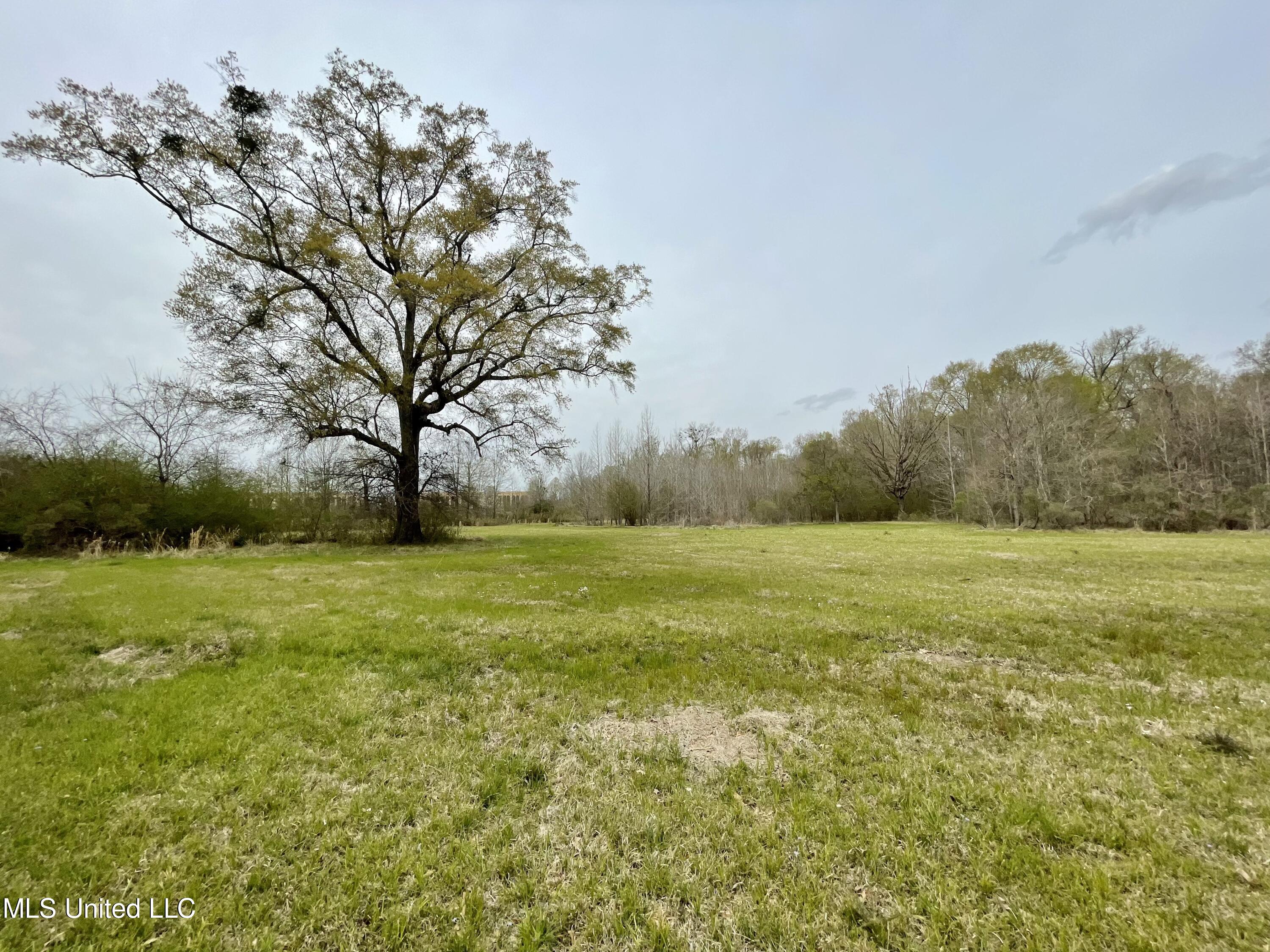 567 Countryside Place Madison, MS 39110 - Photo 36 of 41 ugUYxiZJQ5KMYRoQsGxVsw