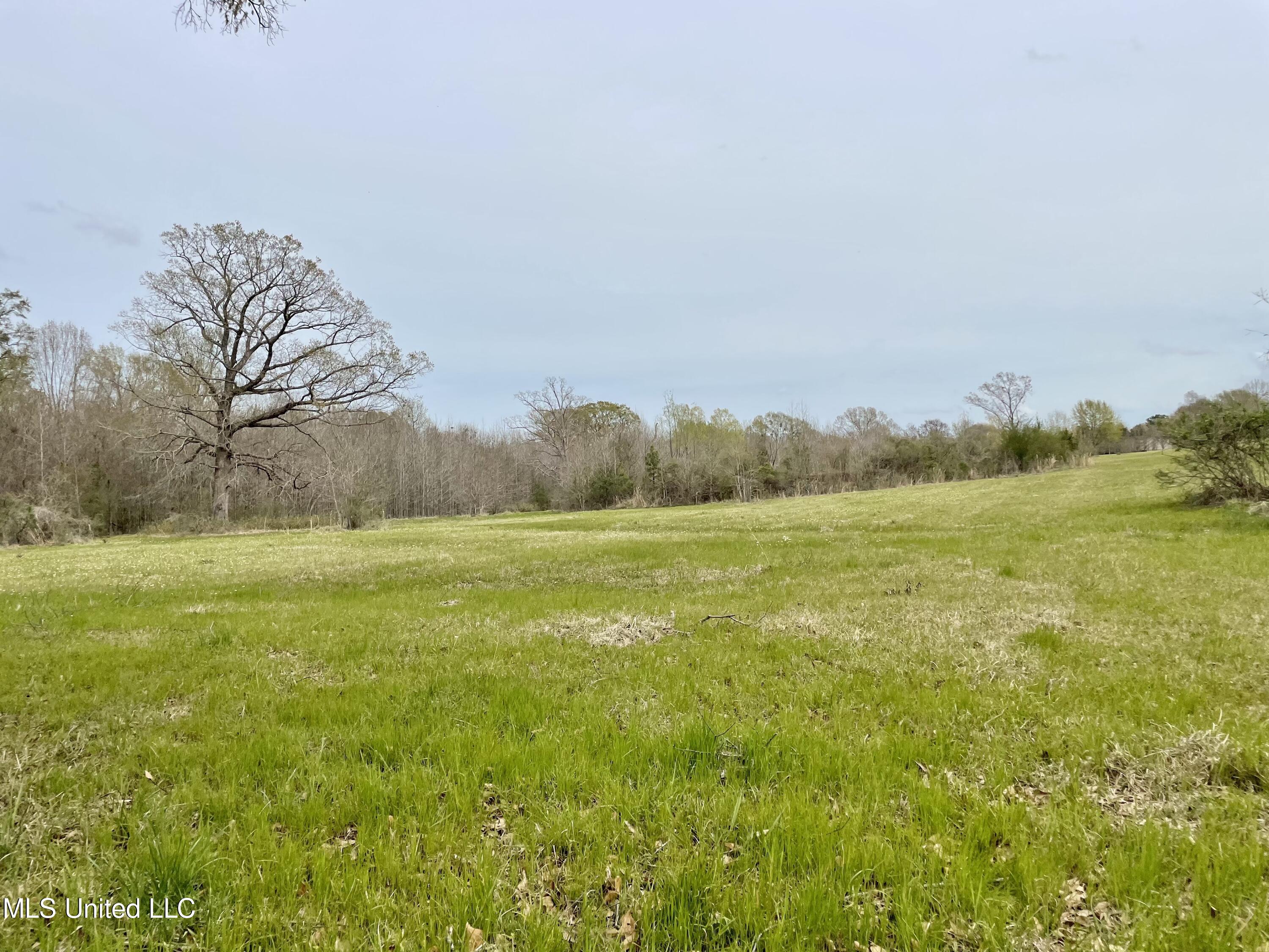 567 Countryside Place Madison, MS 39110 - Photo 37 of 41 EqNoqIojTN+xzzPqNv4jmA