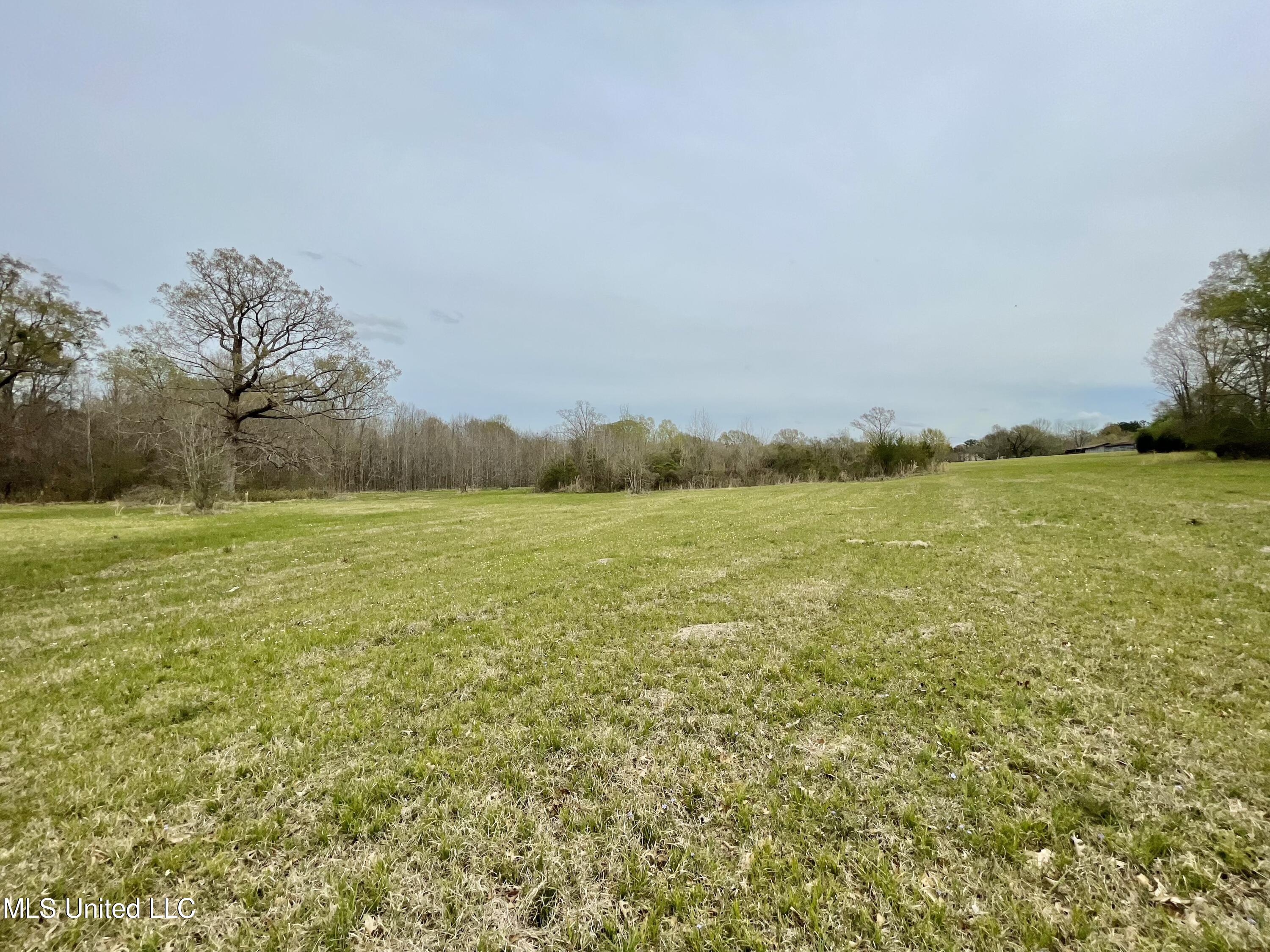 567 Countryside Place Madison, MS 39110 - Photo 38 of 41 FkQsEMUHT7qHlYXKzJog7w