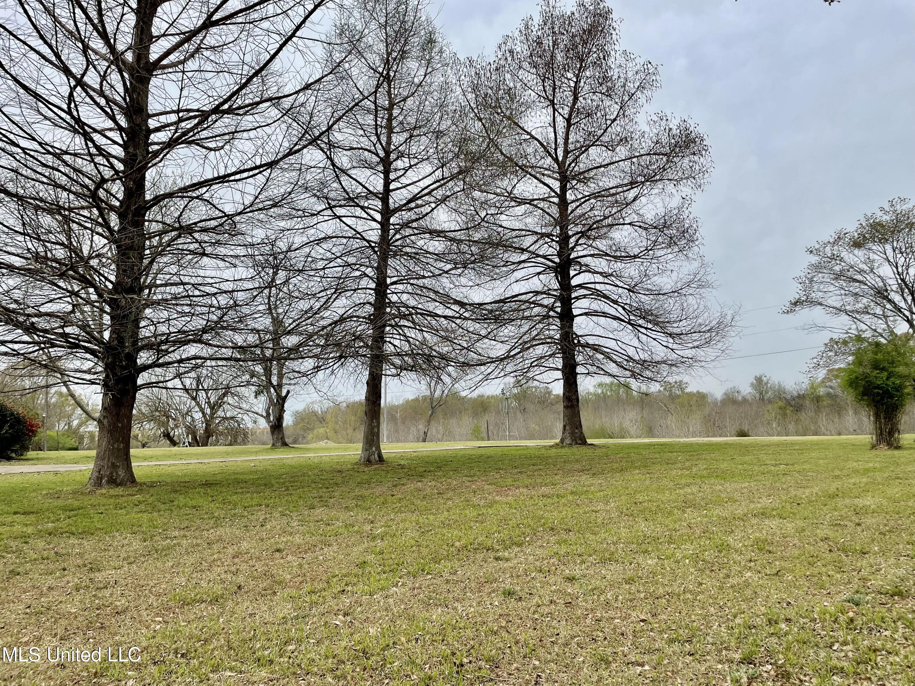 567 Countryside Place Madison, MS 39110 - Photo 5 of 41 DUb3Jmb0RbmaXGF%efXL9A