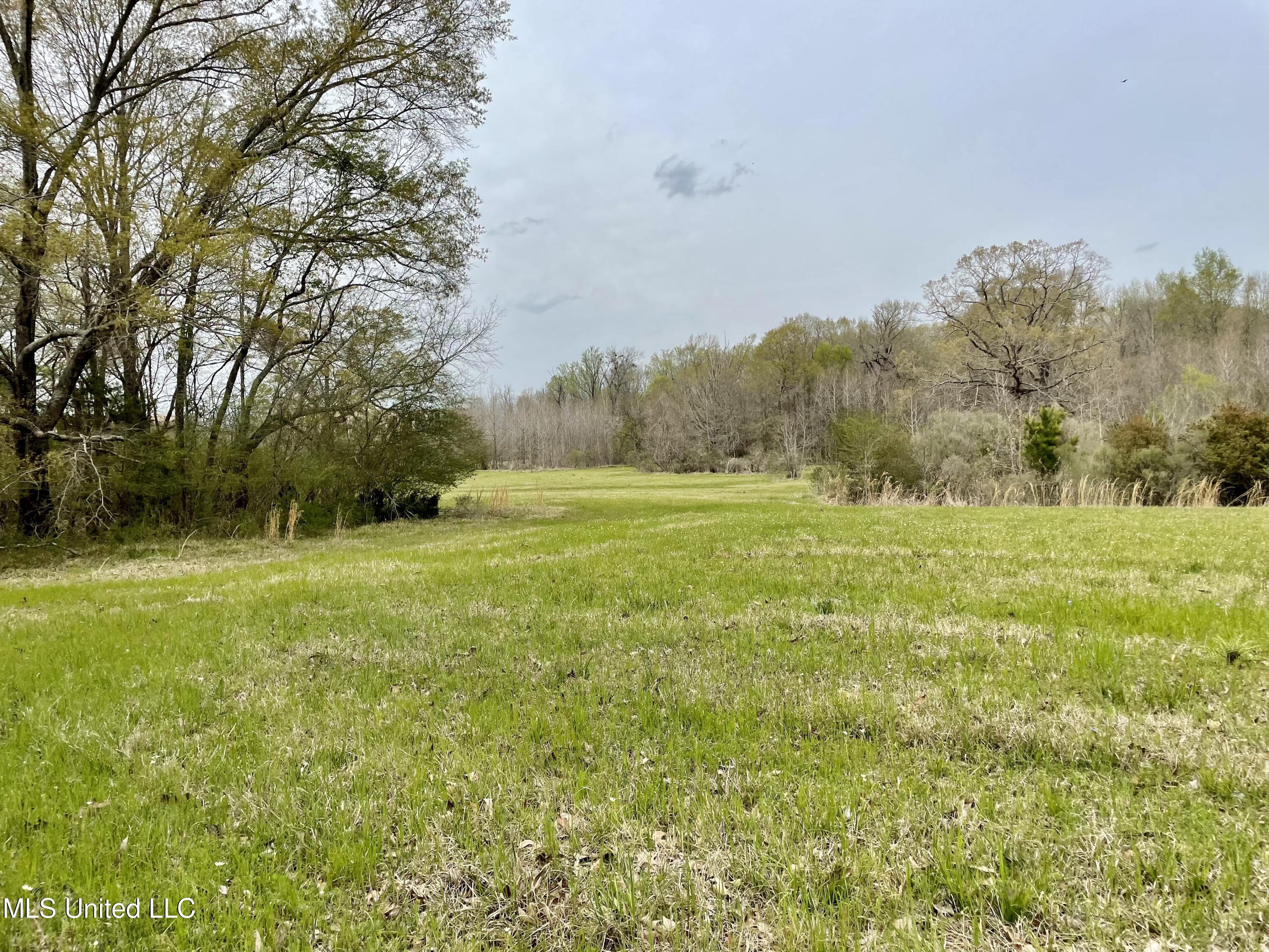 567 Countryside Place Madison, MS 39110 - Photo 8 of 41 b16iHGnyQGWikGOXtT4o5w