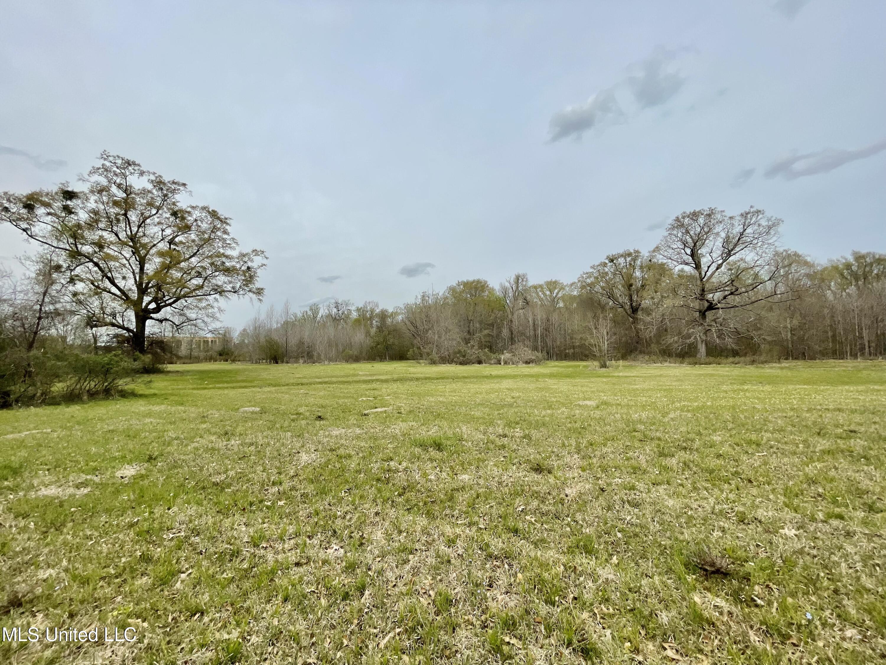 567 Countryside Place Madison, MS 39110 - Photo 9 of 41 8Vu7CtjaTmel1iDzi4mxqw