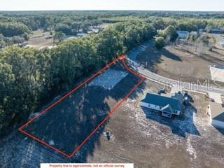 1772 Roberts Trail Bell, FL 32619 - Photo 25 of 26 a view of a backyard with a forest