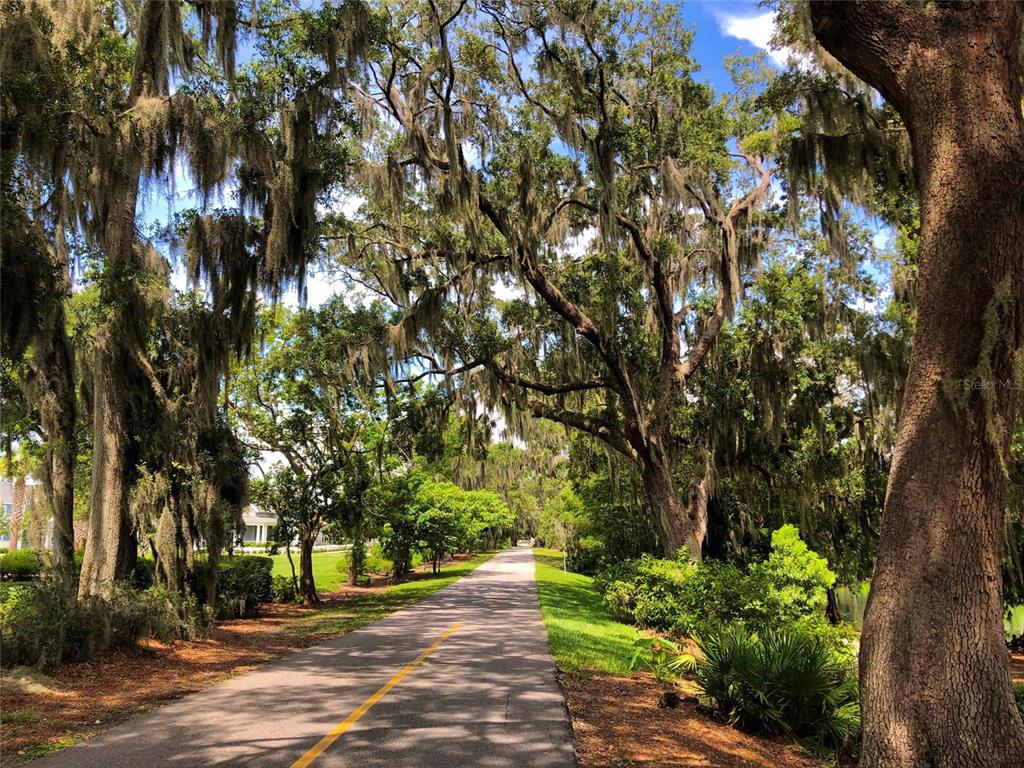 418 Charles Street Winter Garden, FL 34787 - Photo 27 of 27 a view of a street with a tree