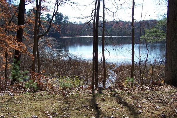76 Long Pond Road Westfield, MA 01085 - Photo 3 of 12