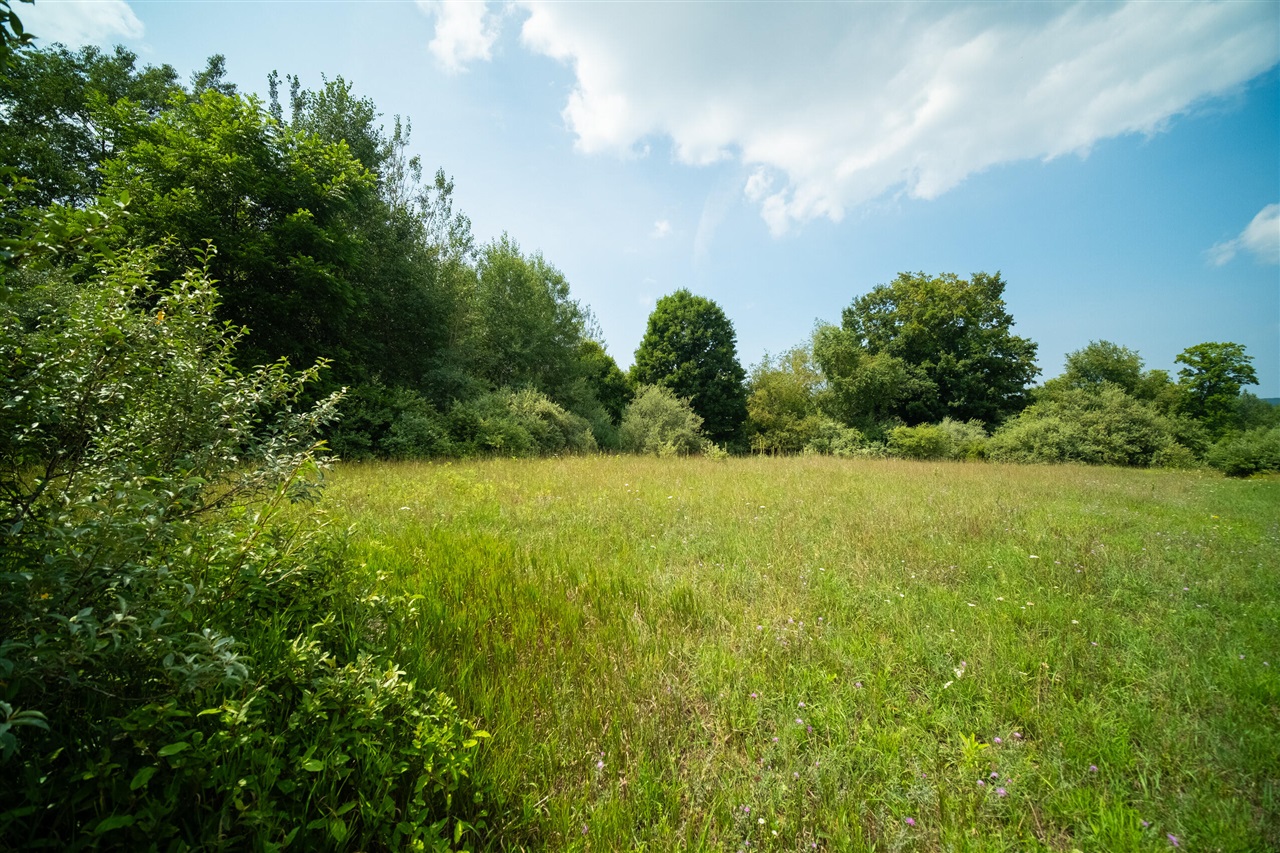 Milarch Road Bear Lake, MI 49614 - Photo 20 of 57