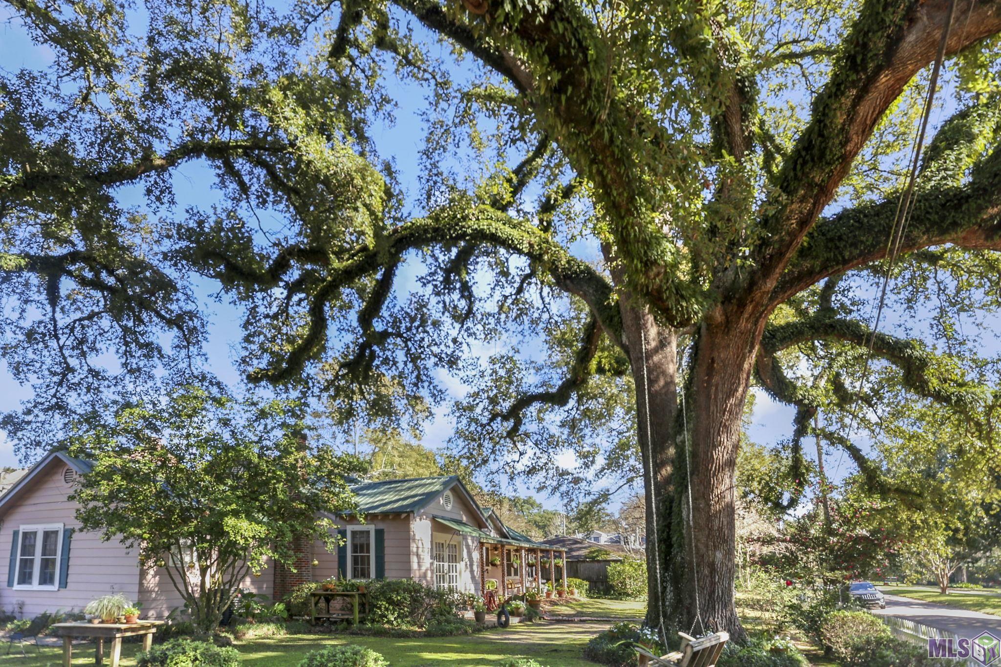 2609 Reymond Avenue Baton Rouge, LA 70808 - Photo 3 of 22