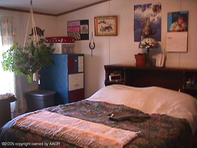 8710 Arlie Road Amarillo, TX 79108 - Photo 8 of 11 Master Bedroom