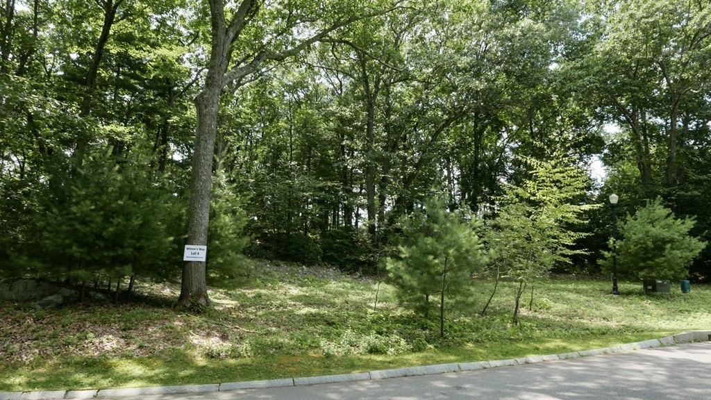 Lot 4 Wilson's Way Dover, MA 02030 - Photo 3 of 9