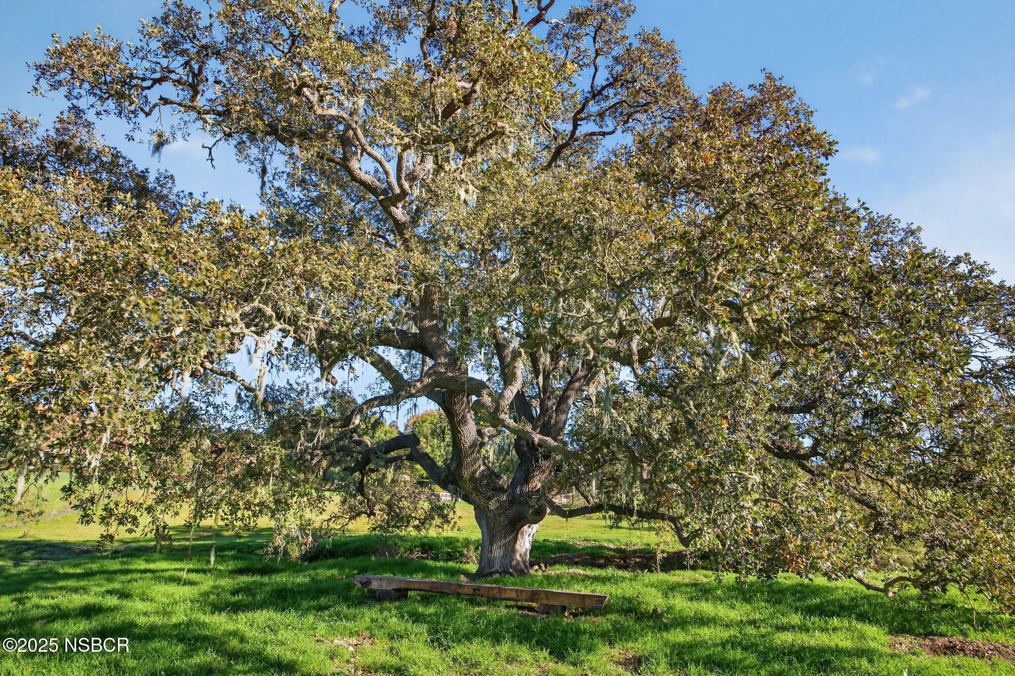 970 College Canyon Road Solvang, CA 93463 - Photo 22 of 32 87-web-or-mls-UpmarketMedia_970C-016