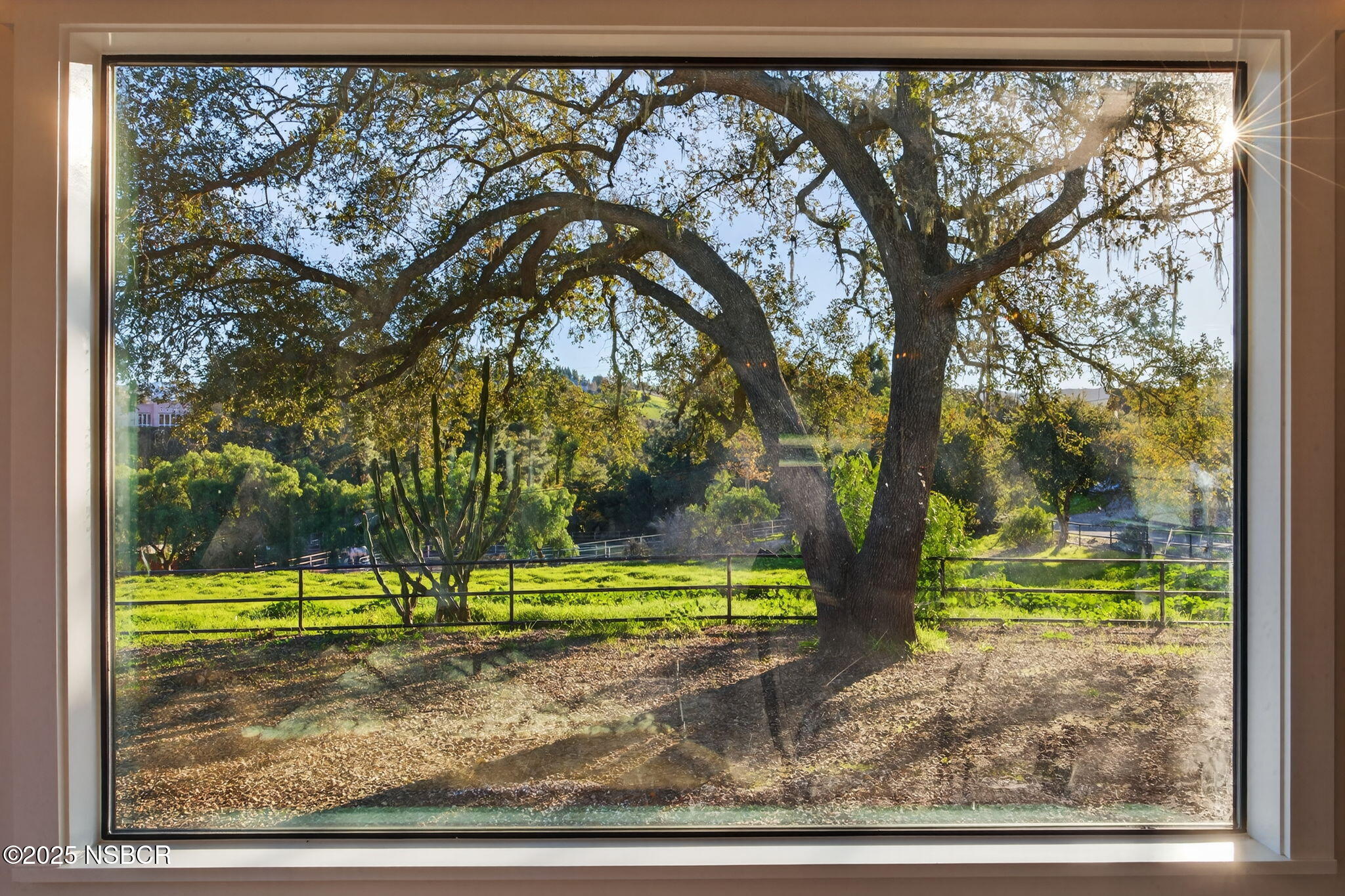 970 College Canyon Road Solvang, CA 93463 - Photo 10 of 32 29-web-or-mls-UpmarketMedia_970C-116