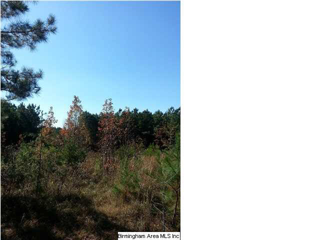 45 Charles Taylor Road Vance, AL 35490 - Photo 2 of 13
