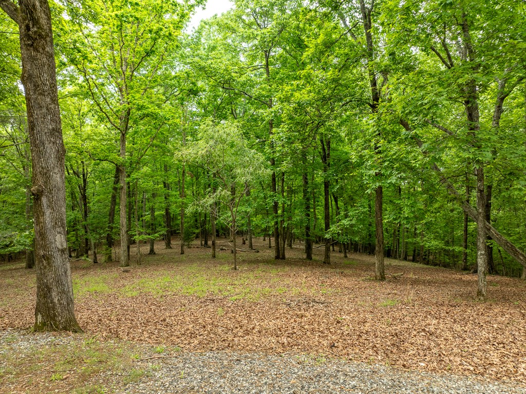 399 Hideaway Hills Road Blairsville, GA 30512 - Photo 15 of 77 a backyard of a house with lots of green space