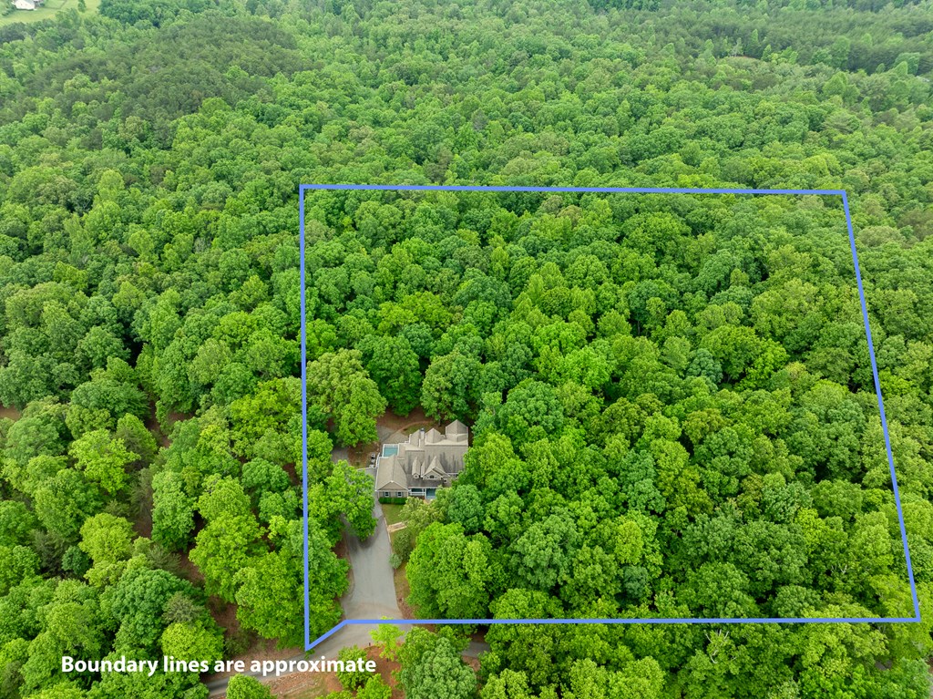 399 Hideaway Hills Road Blairsville, GA 30512 - Photo 21 of 77