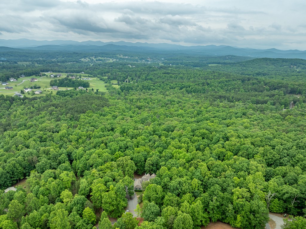 399 Hideaway Hills Road Blairsville, GA 30512 - Photo 22 of 77 a view of a green field