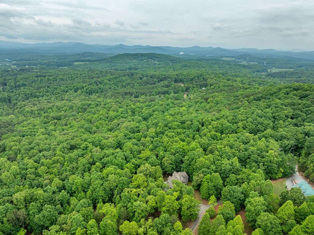 399 Hideaway Hills Road Blairsville, GA 30512 - Photo 23 of 77 a view of a large yard with lots of green space