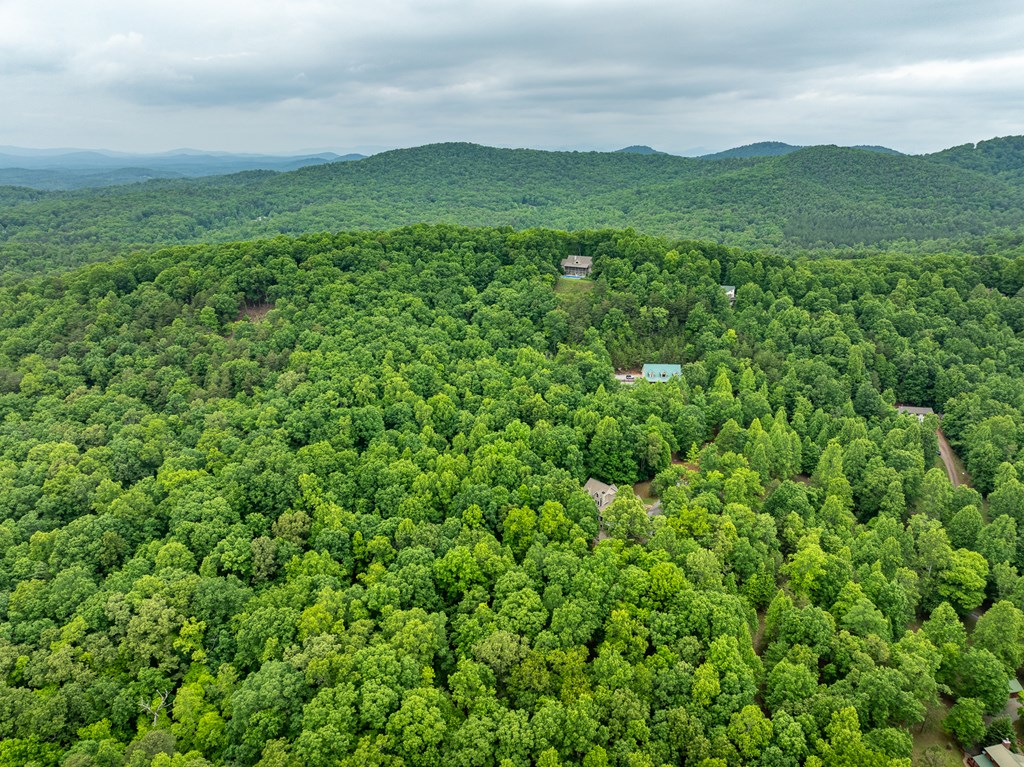 399 Hideaway Hills Road Blairsville, GA 30512 - Photo 24 of 77 a view of a lush green space with sea