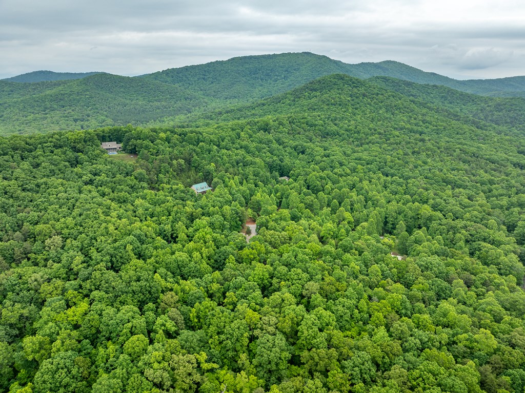 399 Hideaway Hills Road Blairsville, GA 30512 - Photo 25 of 77