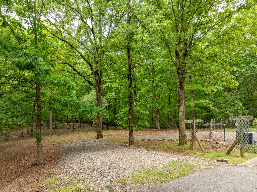 399 Hideaway Hills Road Blairsville, GA 30512 - Photo 9 of 77