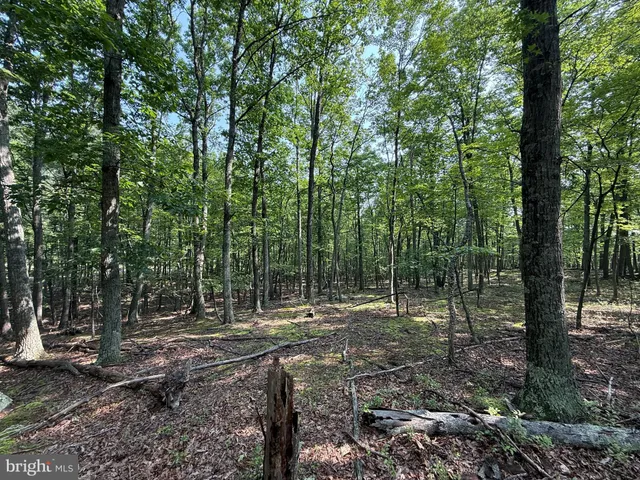 a view of outdoor space with green space