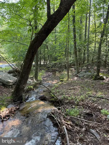 a view of outdoor space and green space