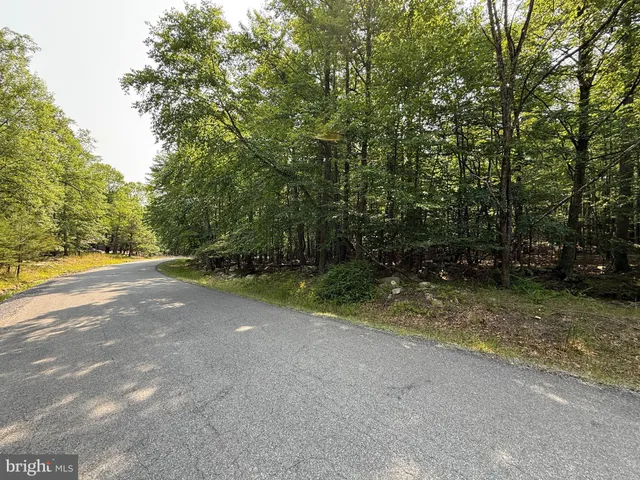 a view of backyard with green space