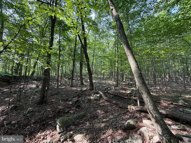 a view of outdoor space with green space