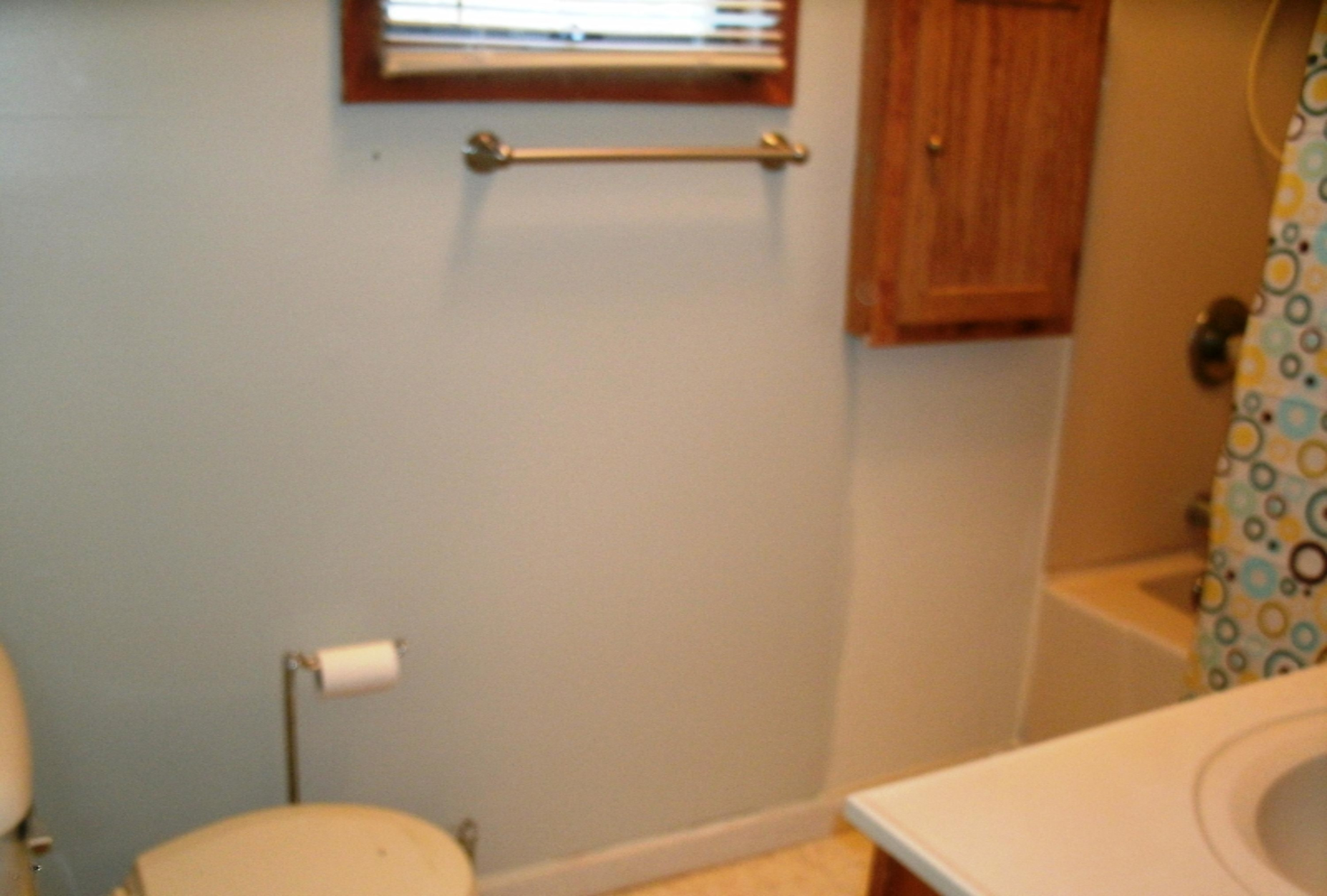 161 West Sidney Road Sidney, MI 48885 - Photo 16 of 18 bathroom