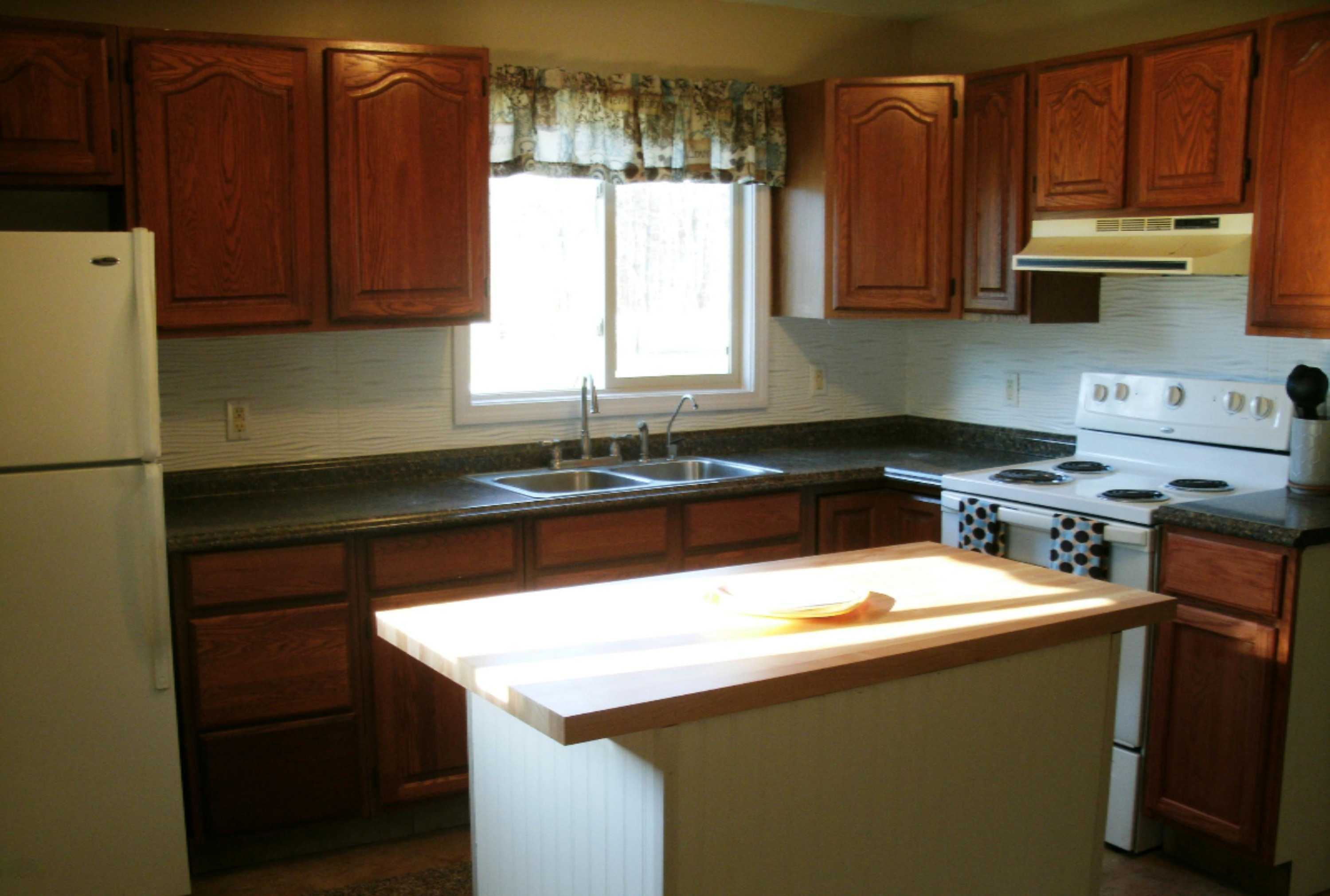 161 West Sidney Road Sidney, MI 48885 - Photo 5 of 18 Kitchen