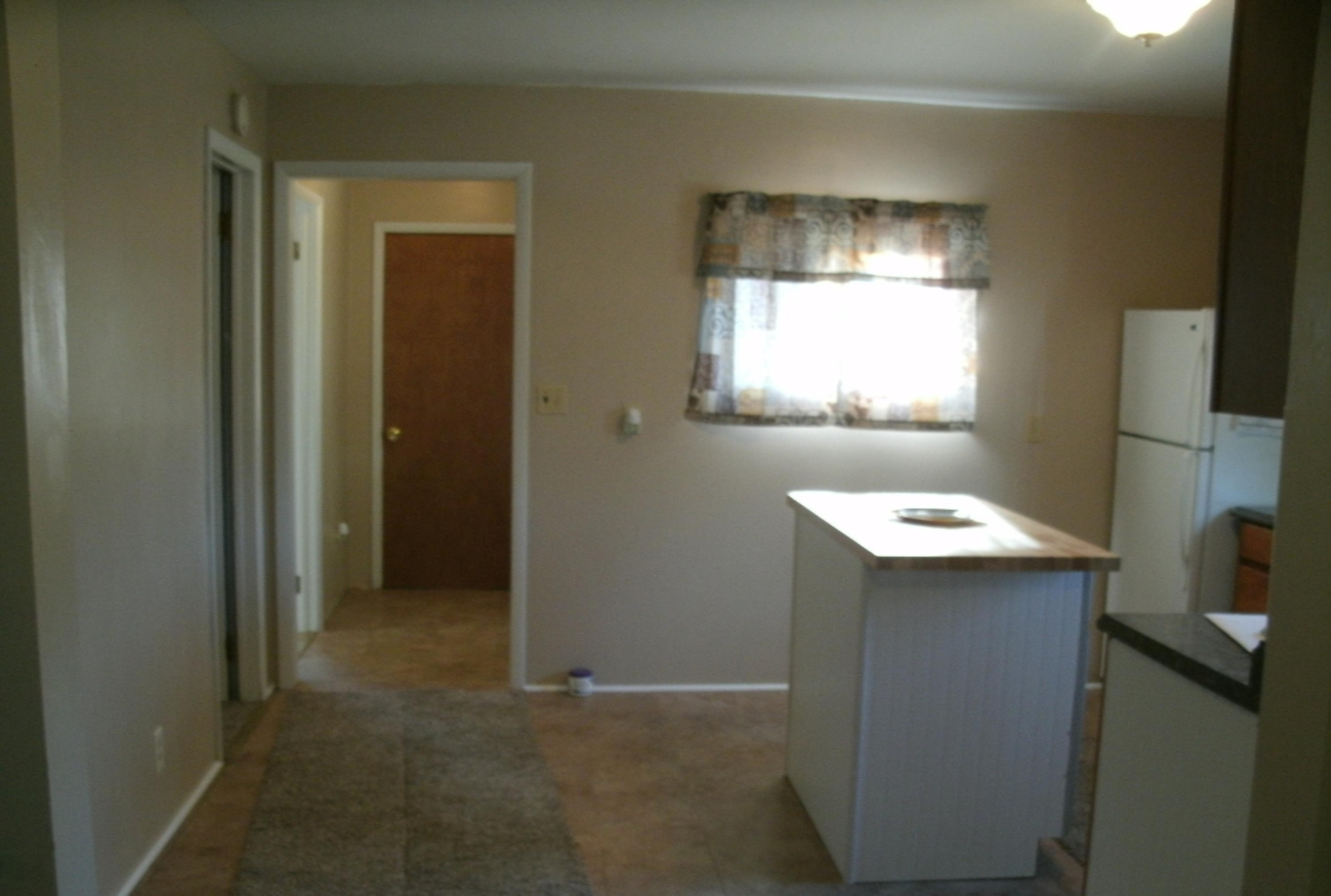 161 West Sidney Road Sidney, MI 48885 - Photo 8 of 18 Kitchen S view to back entry