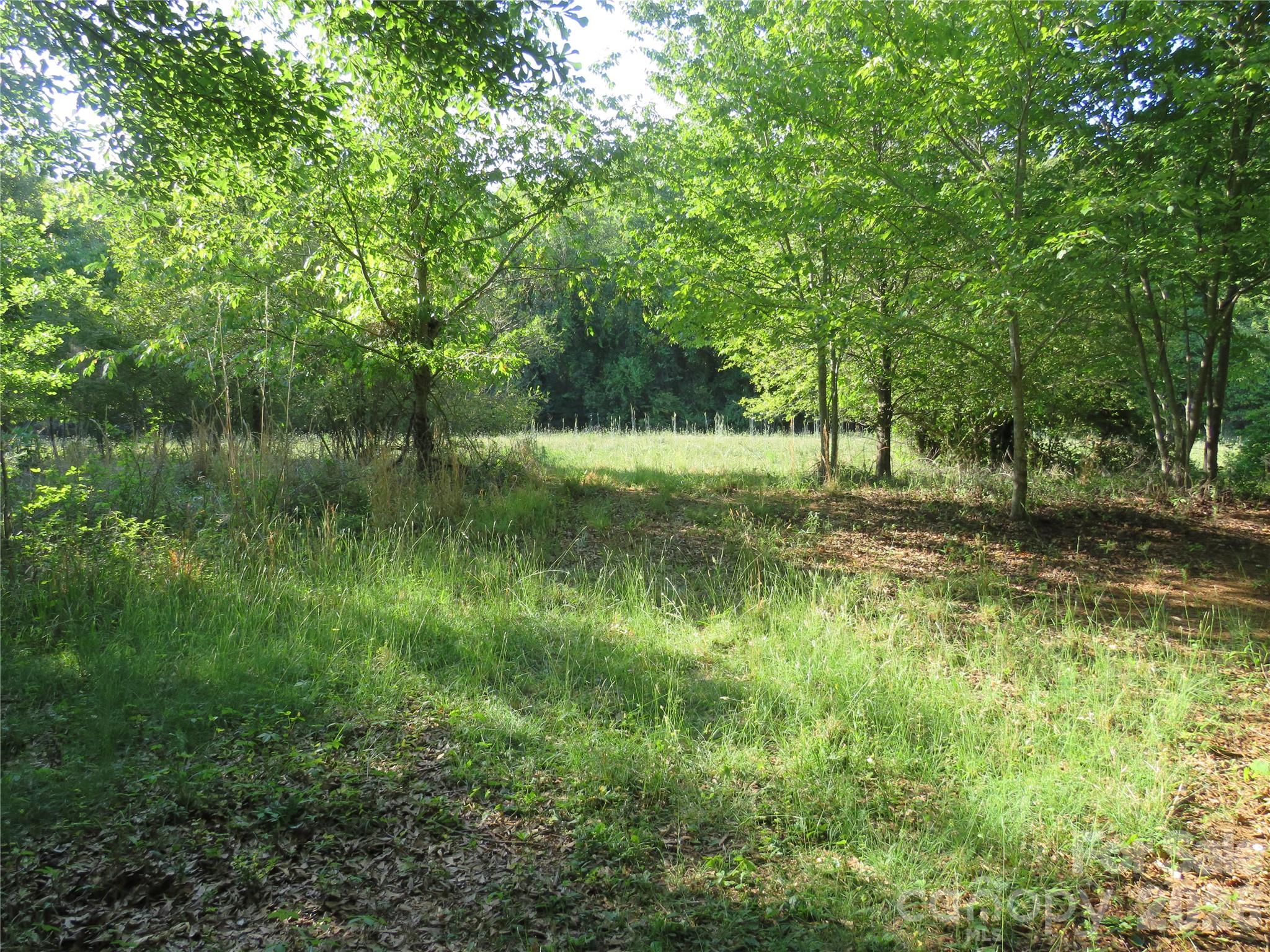 262 Flat Rock Road Forest City, NC 28043 - Photo 30 of 41