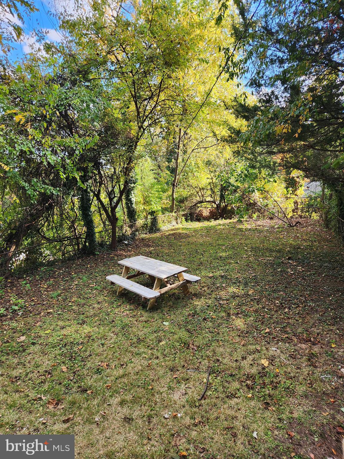 3817 Birchview Avenue, Unit 1 Baltimore, MD 21206 - Photo 18 of 19 a view of a backyard with a fountain