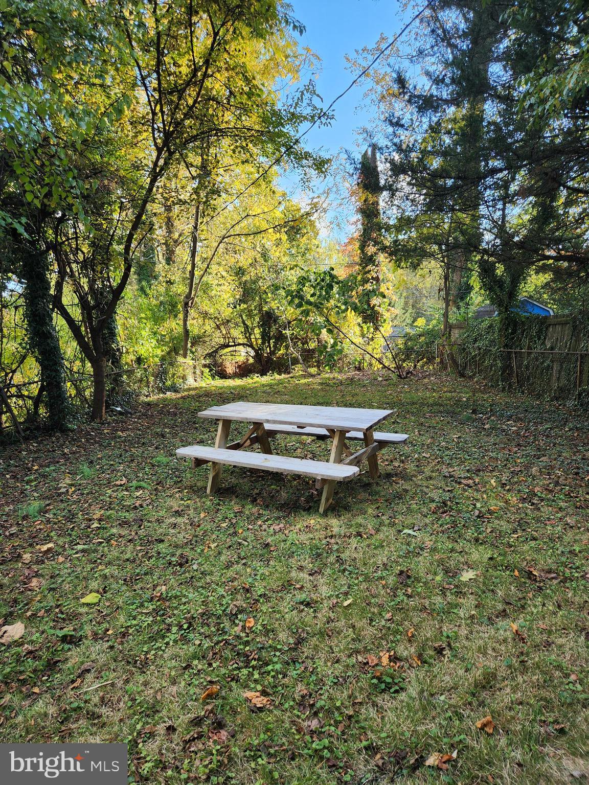 3817 Birchview Avenue, Unit 1 Baltimore, MD 21206 - Photo 19 of 19 a backyard of a house with lots of green space