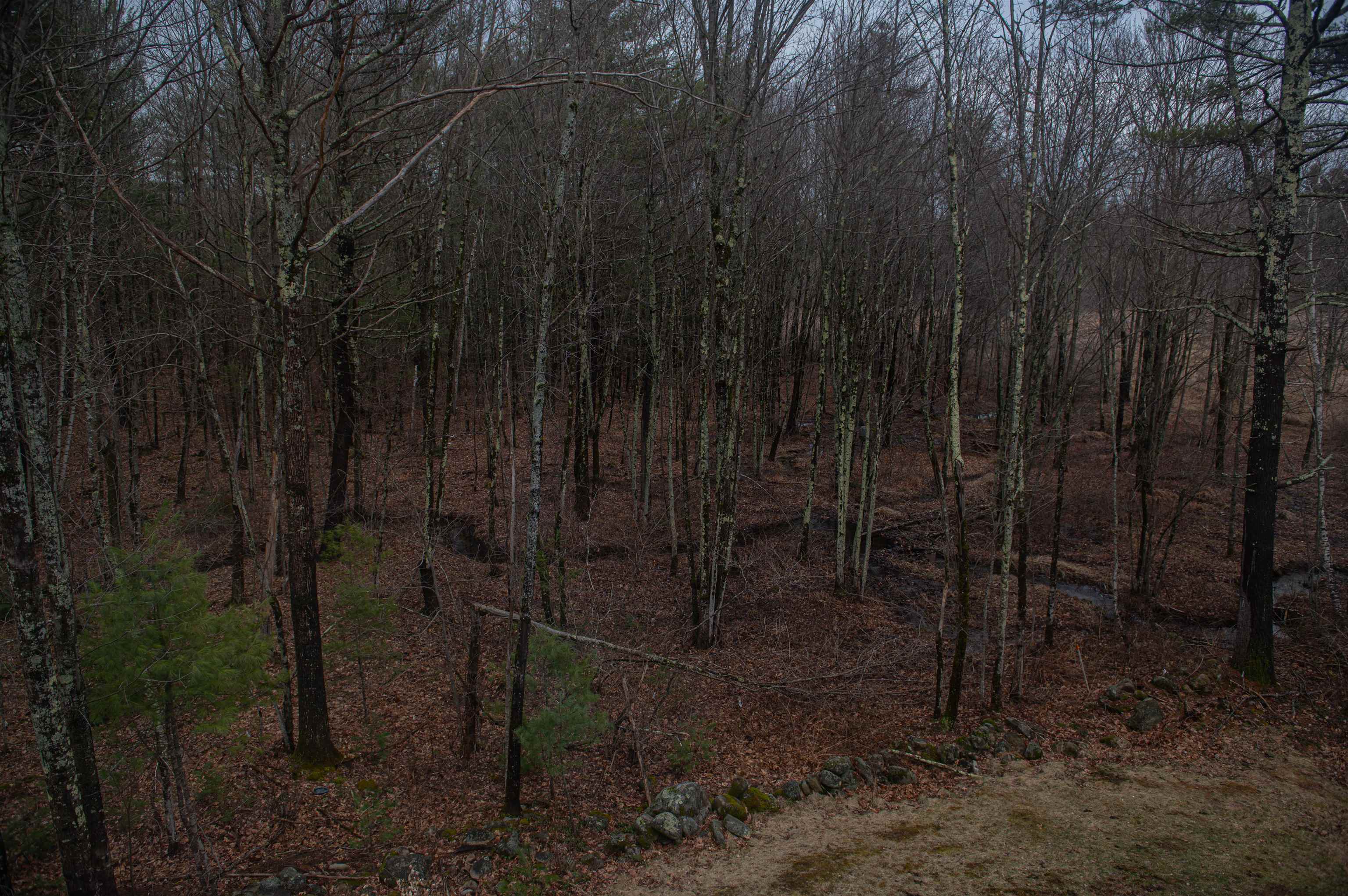 35 Quail Drive Rochester, NH 03867 - Photo 54 of 58
